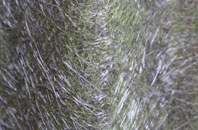 Mindrum fibreglass roof work